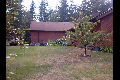 Apple Tree Side of House